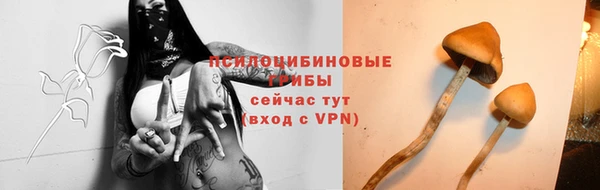 марки lsd Балабаново