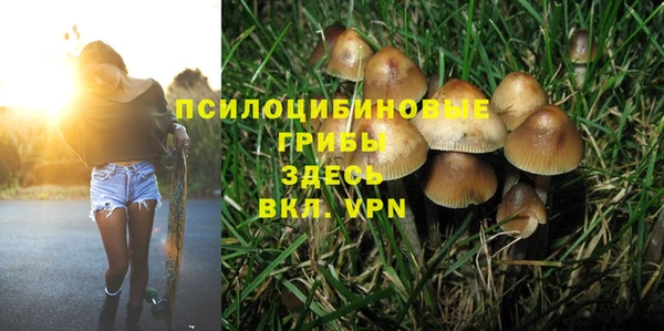 марки lsd Балабаново