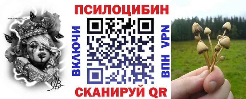 Галлюциногенные грибы MAGIC MUSHROOMS  где найти наркотики  omg ССЫЛКА  Ессентуки 